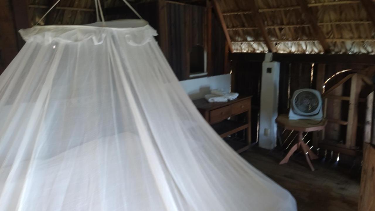 Shambhala Vision Otel Zipolite Dış mekan fotoğraf