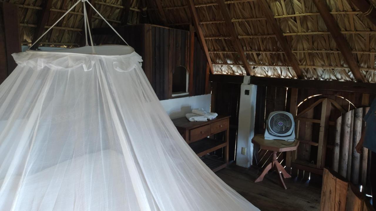 Shambhala Vision Otel Zipolite Dış mekan fotoğraf